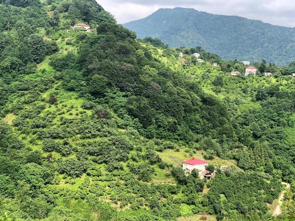 Orbi City Panorama In Batum 0*,