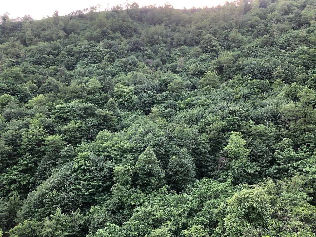 Orbi City Panorama In Batum Apart Otel